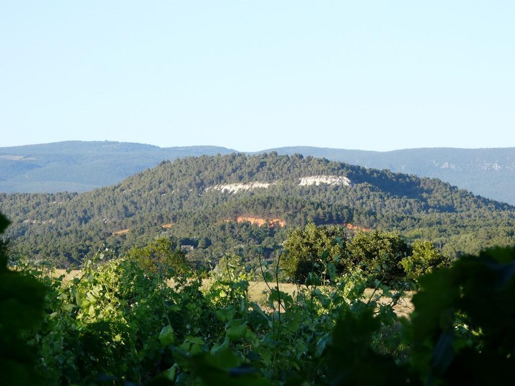 Lou Amourie Roussillon en Isere Exterior foto
