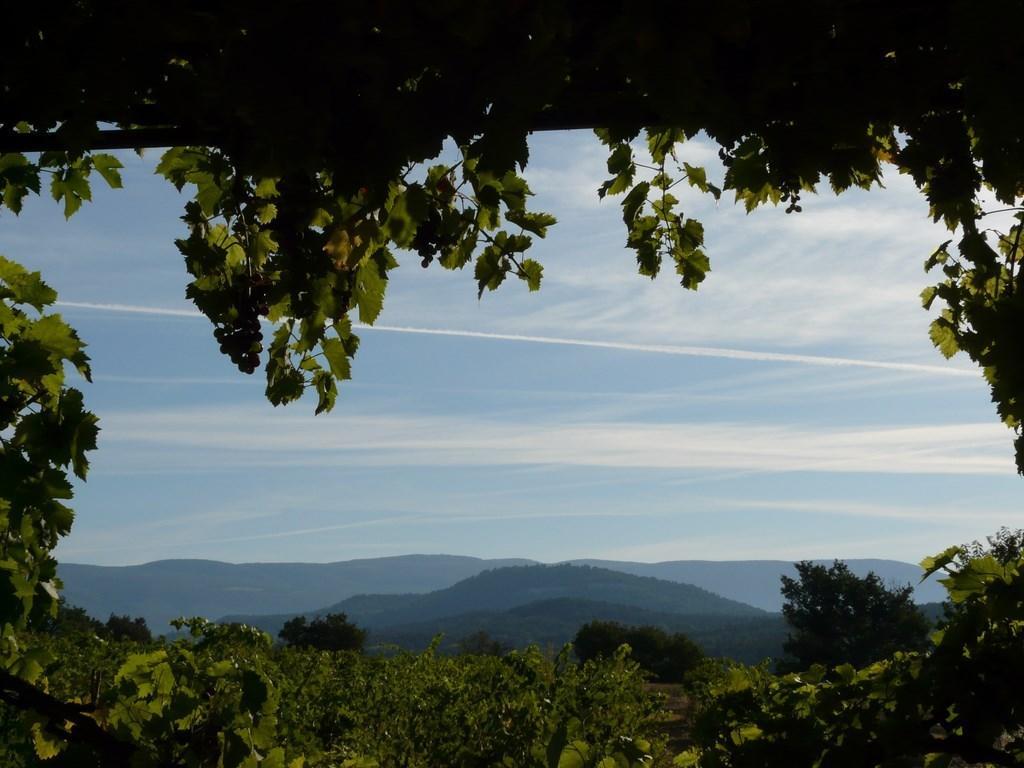 Lou Amourie Roussillon en Isere Exterior foto